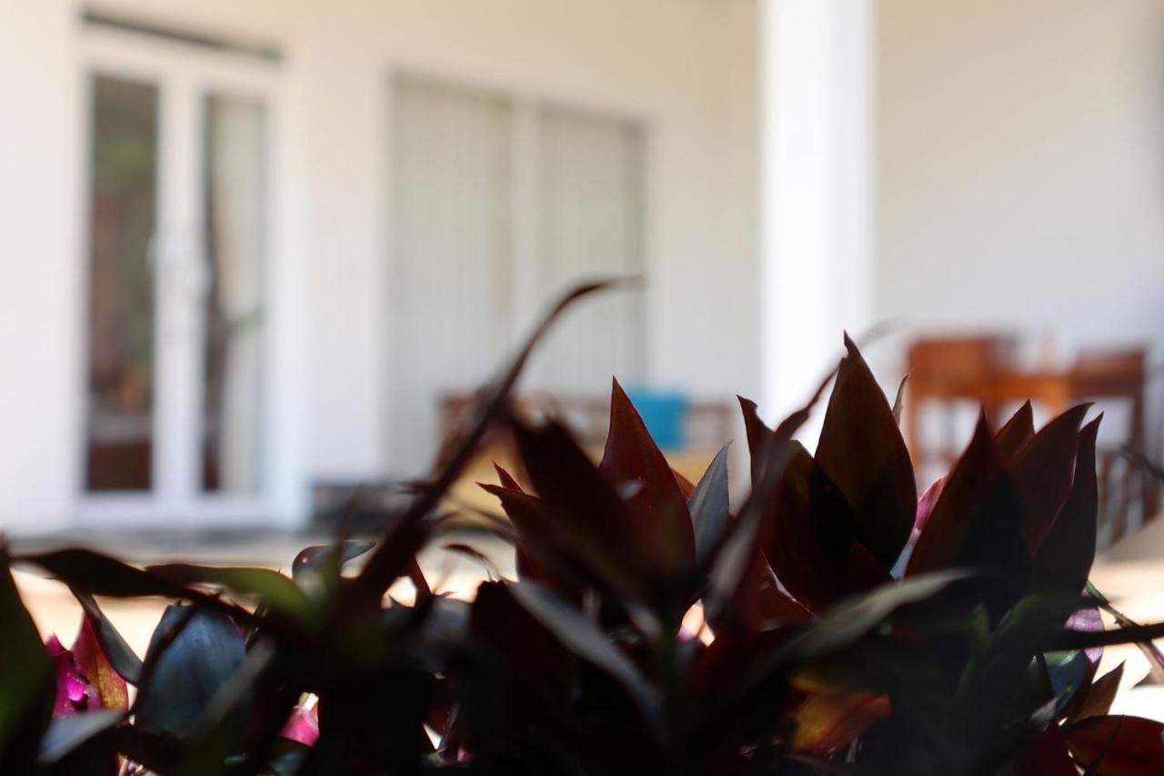 Ella Touch Bed & Breakfast ภายนอก รูปภาพ