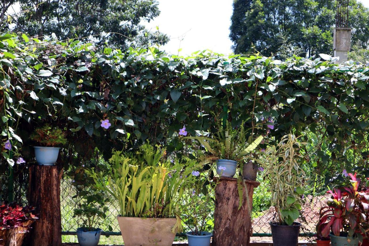 Ella Touch Bed & Breakfast ภายนอก รูปภาพ