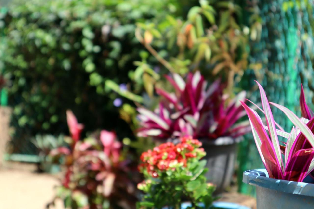 Ella Touch Bed & Breakfast ภายนอก รูปภาพ