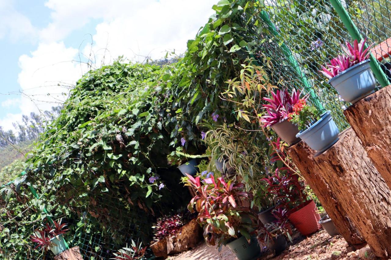Ella Touch Bed & Breakfast ภายนอก รูปภาพ